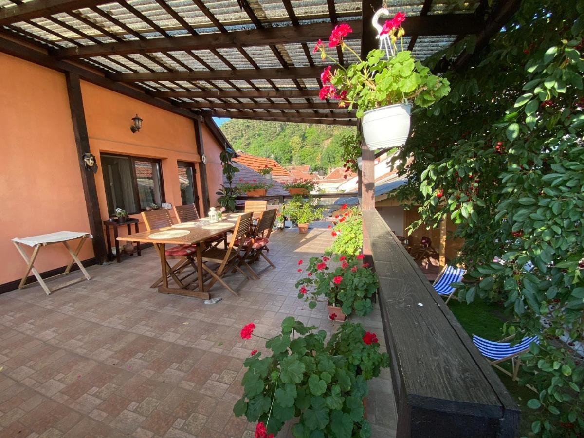 Victoria Gasthaus Rasnov - Charming Vacation House In Rasnov Buitenkant foto