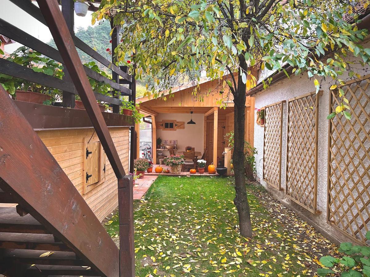 Victoria Gasthaus Rasnov - Charming Vacation House In Rasnov Buitenkant foto