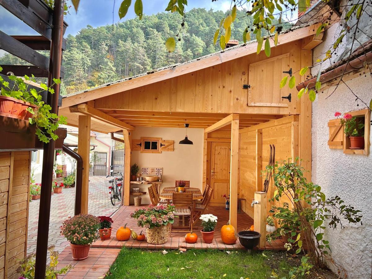 Victoria Gasthaus Rasnov - Charming Vacation House In Rasnov Buitenkant foto