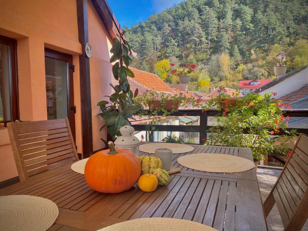 Victoria Gasthaus Rasnov - Charming Vacation House In Rasnov Buitenkant foto