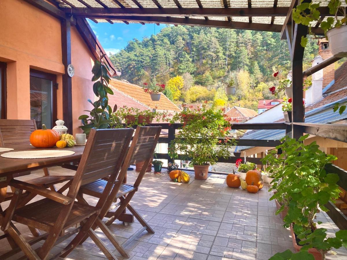 Victoria Gasthaus Rasnov - Charming Vacation House In Rasnov Buitenkant foto